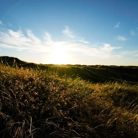 Modern House - By Traum 別荘 バイアス・スタン