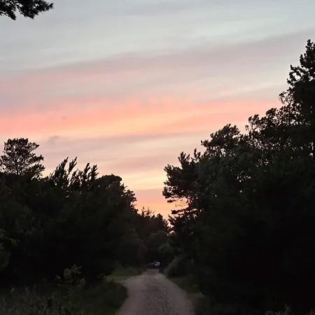 Modern House - By Traum 別荘