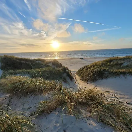 Modern House - By Traum 別荘 *